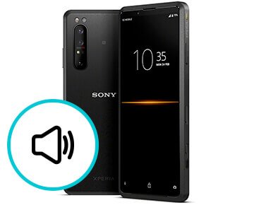 Замена динамика на телефоне Sony в Воронеже